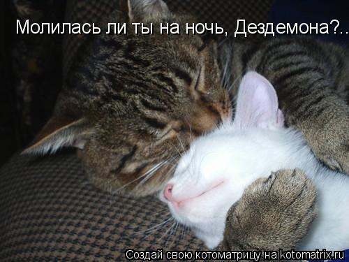 Молилась ли ты на ночь, Дездемона?..... Котоматрица: Молилась ли ты на ночь, Дездемона?..