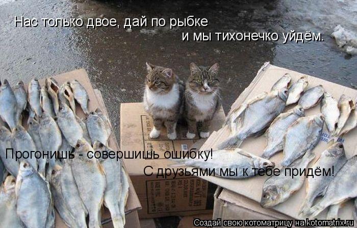 Нас только двое, дай по рыбке и мы тихонечко уйдём. Прогонишь - совершишь ошибку! С друзьями мы к теб... Котоматрица: Нас только двое, дай по рыбке и мы тихонечко уйдём. Прогонишь - совершишь ошибку! С друзьями мы к тебе придём!
