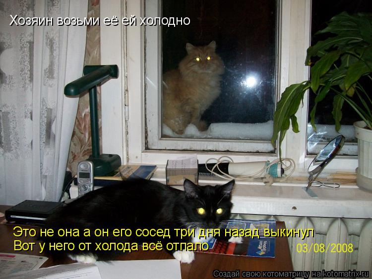 Хозяин возьми её ей холодно Это не она а он его сосед три дня назад выкинул Вот у него от холода всё... Котоматрица: Хозяин возьми её ей холодно Это не она а он его сосед три дня назад выкинул Вот у него от холода всё отпало