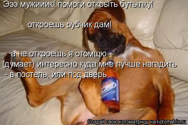 Эээ мужииик! помоги открыть бутылку! откроешь рубчик дам! а не откроешь я отомщю (думает) интересно к... Котоматрица: Эээ мужииик! помоги открыть бутылку! откроешь рубчик дам! а не откроешь я отомщю (думает) интересно куда мне лучше нагадить - в постель, или п