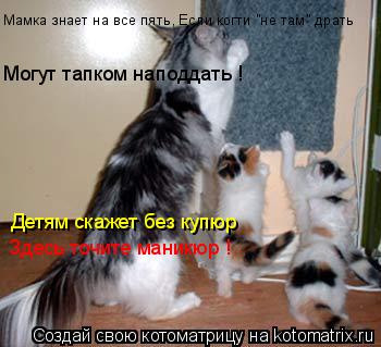 Мамка знает на все пять, Если когти "не там" драть Могут тапком наподдать ! Детям скажет без купюр Зд... Котоматрица: Мамка знает на все пять, Если когти "не там" драть Могут тапком наподдать ! Детям скажет без купюр Здесь точите маникюр !