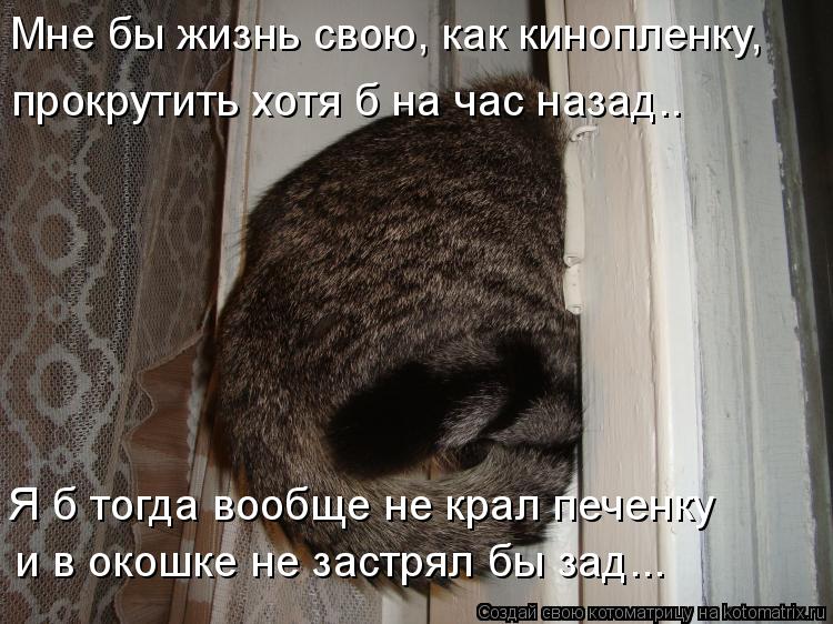 Мне бы жизнь свою, как кинопленку, прокрутить хотя б на час назад.. Я б тогда вообще не крал печенку ... Котоматрица: Мне бы жизнь свою, как кинопленку, прокрутить хотя б на час назад.. Я б тогда вообще не крал печенку и в окошке не застрял бы зад...
