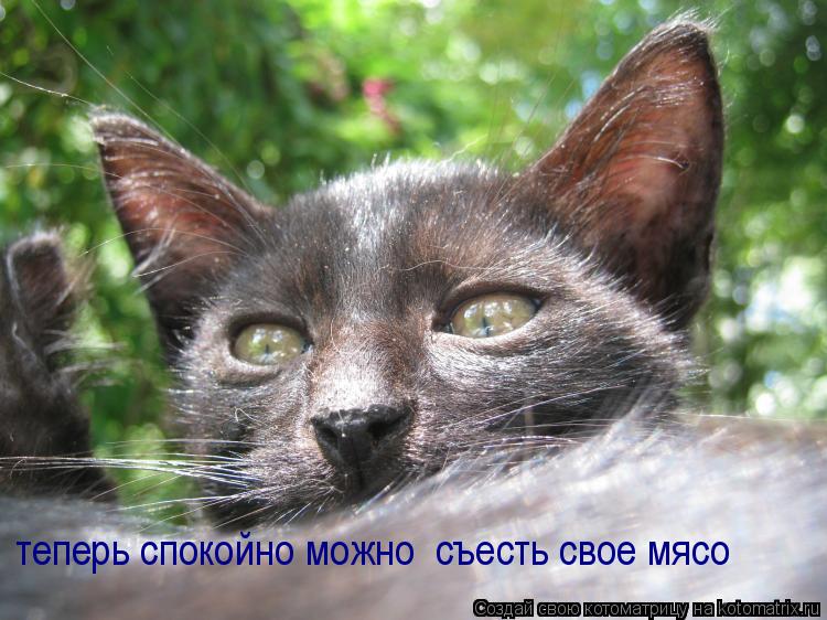 теперь спокойно можно съесть свое мясо... Котоматрица: теперь спокойно можно съесть свое мясо