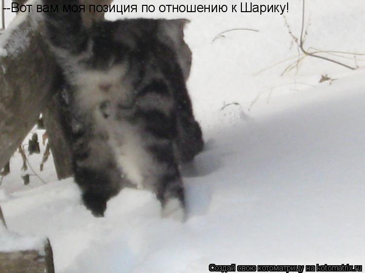 --Вот вам моя позиция по отношению к Шарику!... Котоматрица: --Вот вам моя позиция по отношению к Шарику!