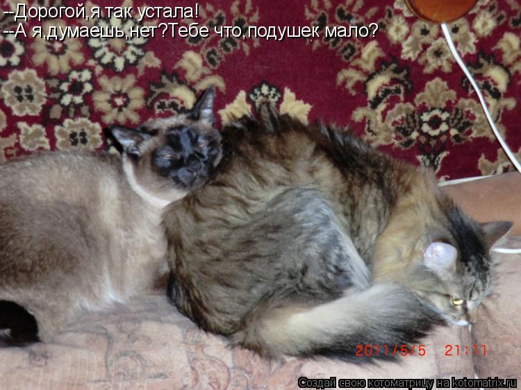 --Дорогой,я так устала! --А я,думаешь,нет?Тебе что,подушек мало?... Котоматрица: --Дорогой,я так устала! --А я,думаешь,нет?Тебе что,подушек мало?