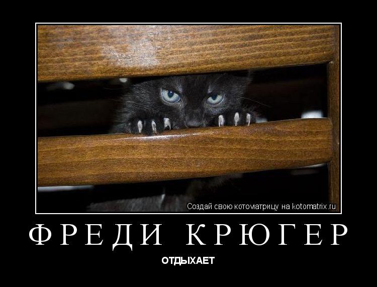 Фреди Крюгер ОТДЫХАЕТ... Котоматрица: Фреди Крюгер ОТДЫХАЕТ