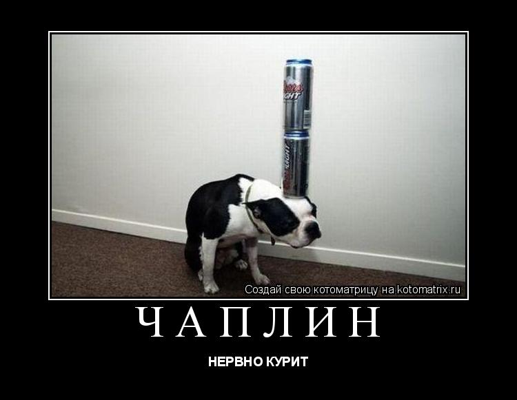 Чаплин НЕРВНО КУРИТ... Котоматрица: Чаплин НЕРВНО КУРИТ