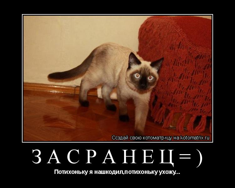 Засранец=) Потихоньку я нашкодил,потихоньку ухожу...... Котоматрица: Засранец=) Потихоньку я нашкодил,потихоньку ухожу...
