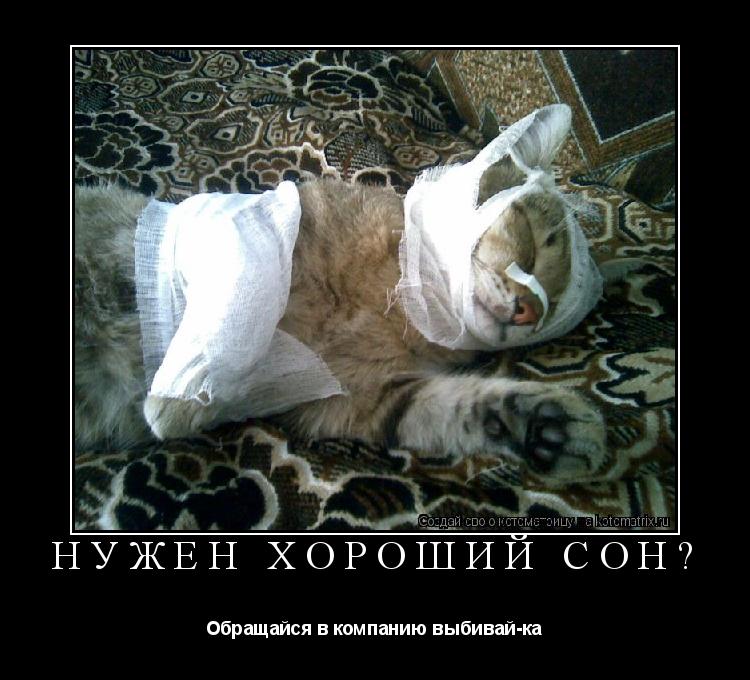 Нужен хороший сон? Обращайся в компанию выбивай-ка... Котоматрица: Нужен хороший сон? Обращайся в компанию выбивай-ка