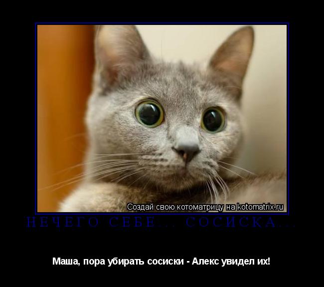 Нечего себе... Сосиска... Маша, пора убирать сосиски - Алекс увидел их!... Котоматрица: Нечего себе... Сосиска... Маша, пора убирать сосиски - Алекс увидел их!