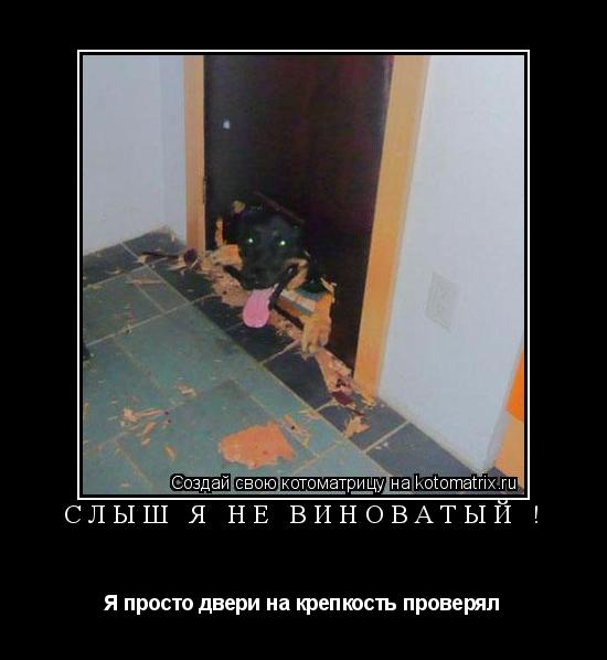 Слыш я не виноватый ! Я просто двери на крепкость проверял... Котоматрица: Слыш я не виноватый ! Я просто двери на крепкость проверял