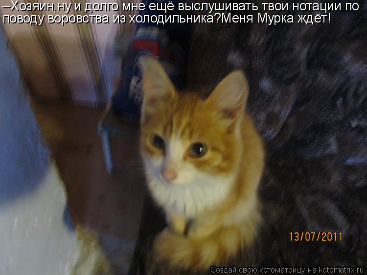 --Хозяин,ну и долго мне ещё выслушивать твои нотации по поводу воровства из холодильника?Меня Мурка ж... Котоматрица: --Хозяин,ну и долго мне ещё выслушивать твои нотации по поводу воровства из холодильника?Меня Мурка ждёт!