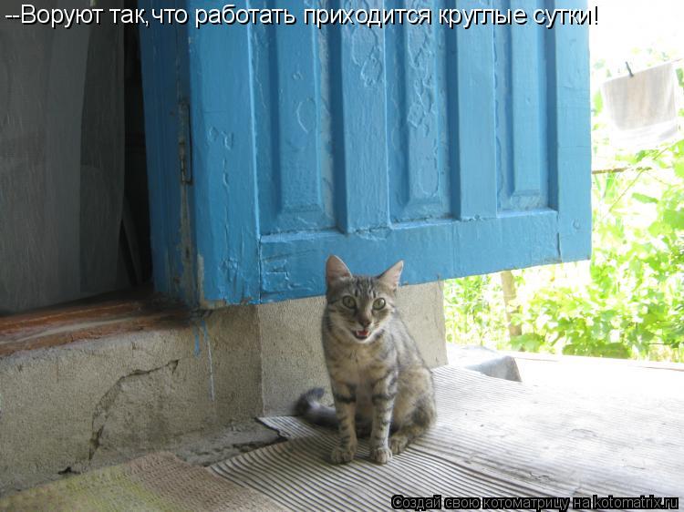 --Воруют так,что работать приходится круглые сутки!... Котоматрица: --Воруют так,что работать приходится круглые сутки!