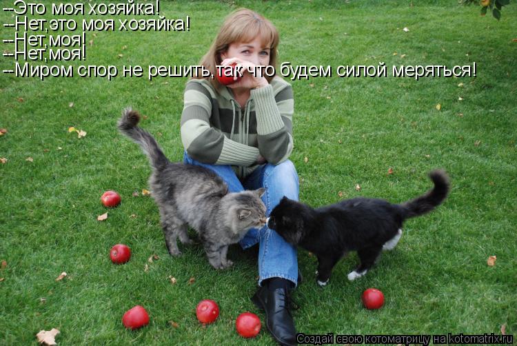 --Это моя хозяйка! --Нет,это моя хозяйка! --Нет,моя! --Нет,моя! --Миром спор не решить,так что будем ... Котоматрица: --Это моя хозяйка! --Нет,это моя хозяйка! --Нет,моя! --Нет,моя! --Миром спор не решить,так что будем силой меряться!