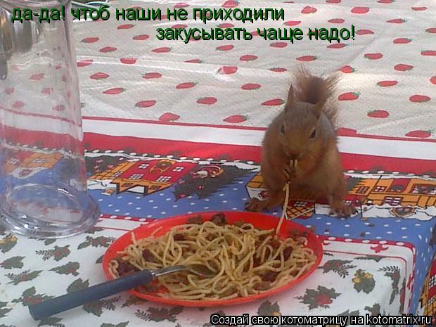 да-да! чтоб наши не приходили да-да! чтоб наши не приходили закусывать чаще надо!... Котоматрица: да-да! чтоб наши не приходили да-да! чтоб наши не приходили закусывать чаще надо!