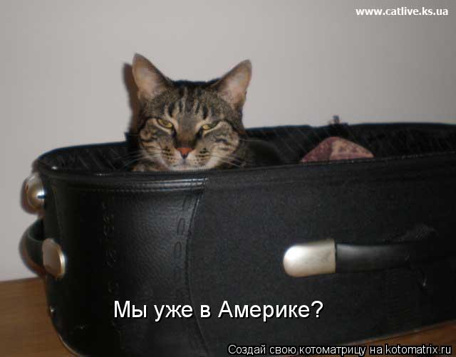 Мы уже в Америке?... Котоматрица: Мы уже в Америке?