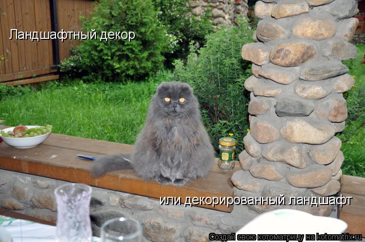 Ландшафтный декор или декорированный ландшафт... Котоматрица: Ландшафтный декор или декорированный ландшафт