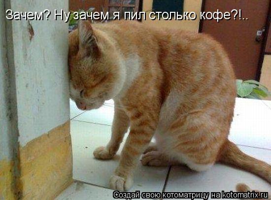 Зачем? Ну зачем я пил столько кофе?!..... Котоматрица: Зачем? Ну зачем я пил столько кофе?!..