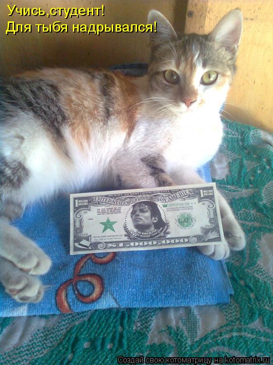 Учись,студент! Для тыбя надрывался!... Котоматрица: Учись,студент! Для тыбя надрывался!