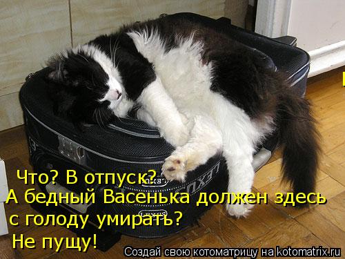 Что? В отпуск? А бедный Васенька должен здесь с голоду умирать? Не пущу! Не пущу!... Котоматрица: Что? В отпуск? А бедный Васенька должен здесь с голоду умирать? Не пущу! Не пущу!