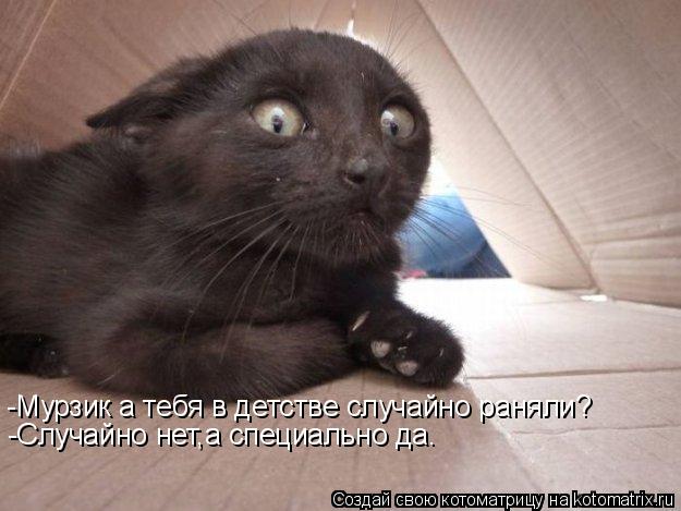 -Мурзик а тебя в детстве случайно раняли? -Случайно нет,а специально да.... Котоматрица: -Мурзик а тебя в детстве случайно раняли? -Случайно нет,а специально да.