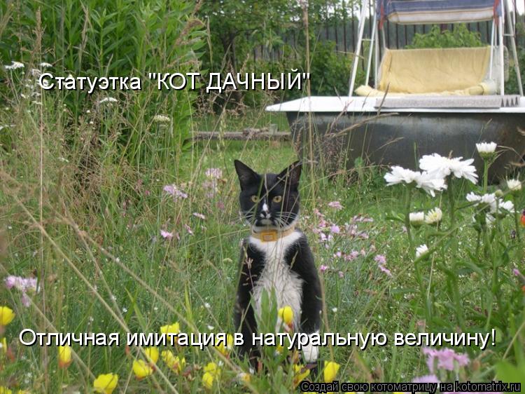 Статуэтка "КОТ ДАЧНЫЙ" Отличная имитация в натуральную величину!... Котоматрица: Статуэтка "КОТ ДАЧНЫЙ" Отличная имитация в натуральную величину!