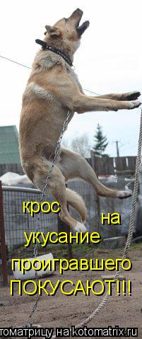 на укусание проигравшего крос ПОКУСАЮТ!!!... Котоматрица: на укусание проигравшего крос ПОКУСАЮТ!!!