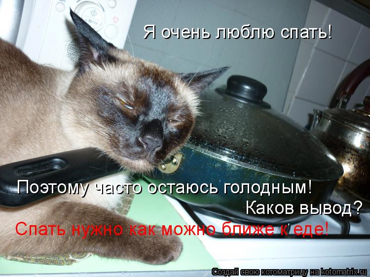 Я очень люблю спать! Поэтому часто остаюсь голодным! Каков вывод? Спать нужно как можно ближе к еде!... Котоматрица: Я очень люблю спать! Поэтому часто остаюсь голодным! Каков вывод? Спать нужно как можно ближе к еде!