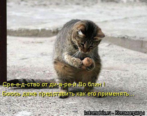 Сре-е-д-ство от ди-а-ре-и.Во блин ! Боюсь даже представить как его применять...... Котоматрица: Сре-е-д-ство от ди-а-ре-и.Во блин ! Боюсь даже представить как его применять...