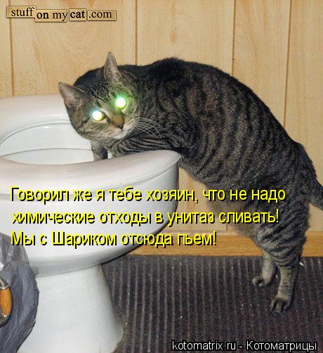 Говорил же я тебе хозяин, что не надо химические отходы в унитаз сливать! Мы с Шариком отсюда пьем!... Котоматрица: Говорил же я тебе хозяин, что не надо химические отходы в унитаз сливать! Мы с Шариком отсюда пьем!