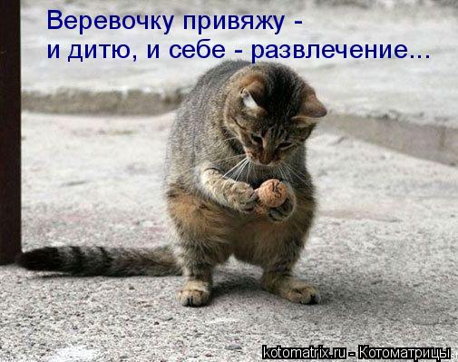 Веревочку привяжу - и дитю, и себе - развлечение...... Котоматрица: Веревочку привяжу - и дитю, и себе - развлечение...