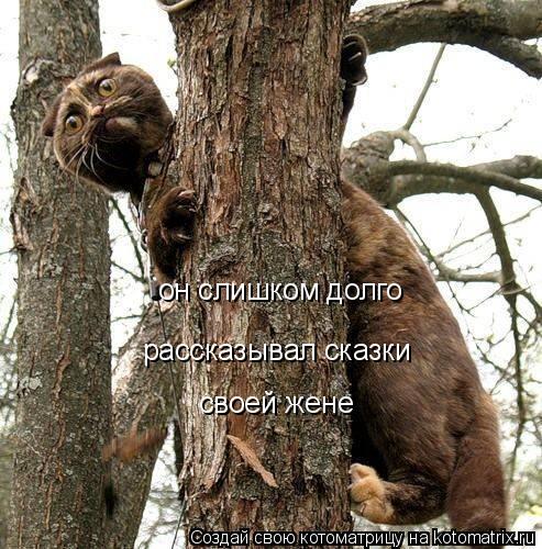он слишком долго рассказывал сказки своей жене... Котоматрица: он слишком долго рассказывал сказки своей жене