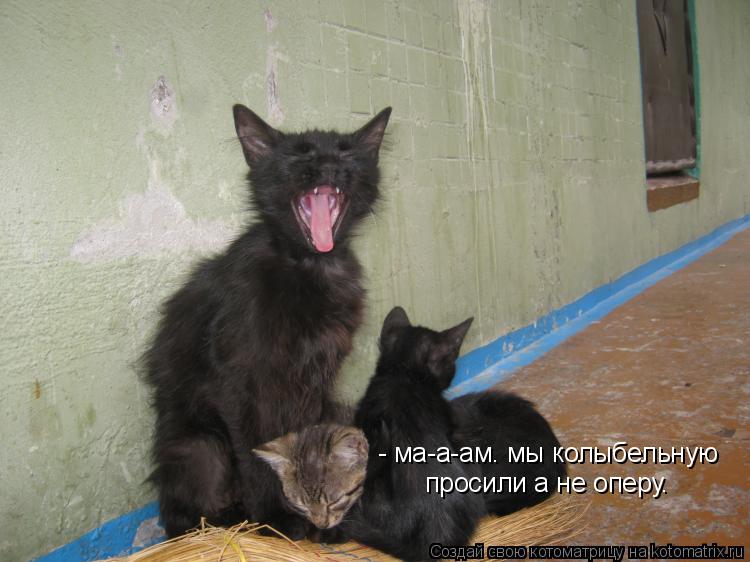 - ма-а-ам. мы колыбельную просили а не оперу.... Котоматрица: - ма-а-ам. мы колыбельную просили а не оперу.