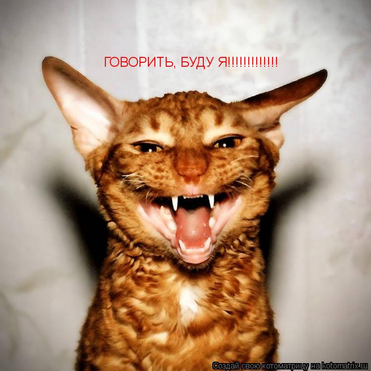 ГОВОРИТЬ, БУДУ Я!!!!!!!!!!!!!... Котоматрица: ГОВОРИТЬ, БУДУ Я!!!!!!!!!!!!!