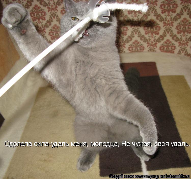 Одолела сила-удаль меня, молодца, Не чужая, своя удаль...... Котоматрица: Одолела сила-удаль меня, молодца, Не чужая, своя удаль...