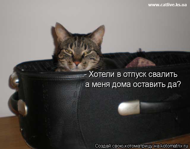 - Хотели в отпуск свалить а меня дома оставить да?... Котоматрица: - Хотели в отпуск свалить а меня дома оставить да?