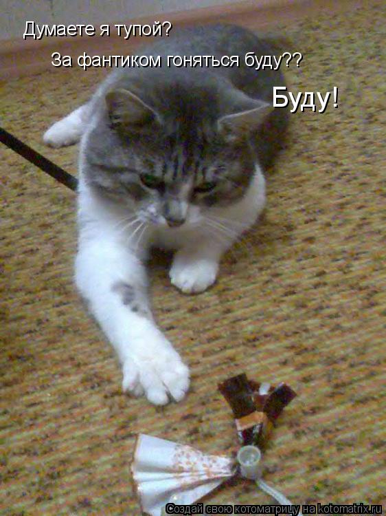Думаете я тупой? За фантиком гоняться буду?? Буду!... Котоматрица: Думаете я тупой? За фантиком гоняться буду?? Буду!