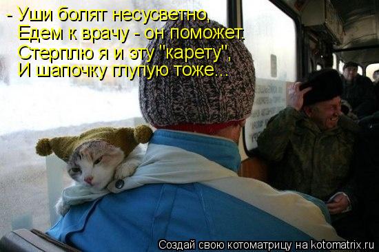- Уши болят несусветно, Едем к врачу - он поможет. Стерплю я и эту "карету", И шапочку глупую тоже...... Котоматрица: - Уши болят несусветно, Едем к врачу - он поможет. Стерплю я и эту "карету", И шапочку глупую тоже...