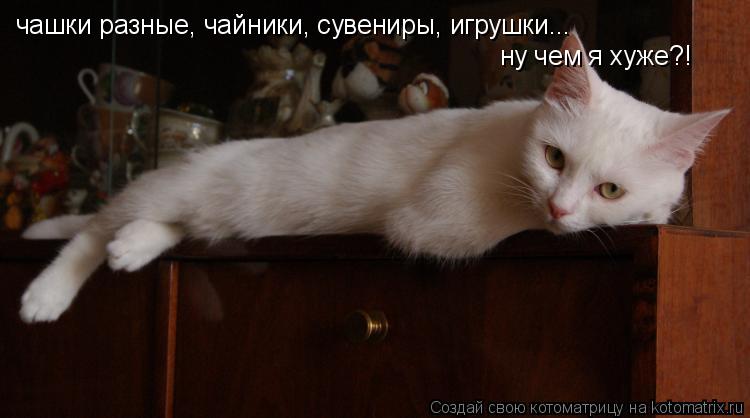 чашки разные, чайники... чашки разные, чайники, сувениры, игрушки... ну чем я хуже?!... Котоматрица: чашки разные, чайники... чашки разные, чайники, сувениры, игрушки... ну чем я хуже?!