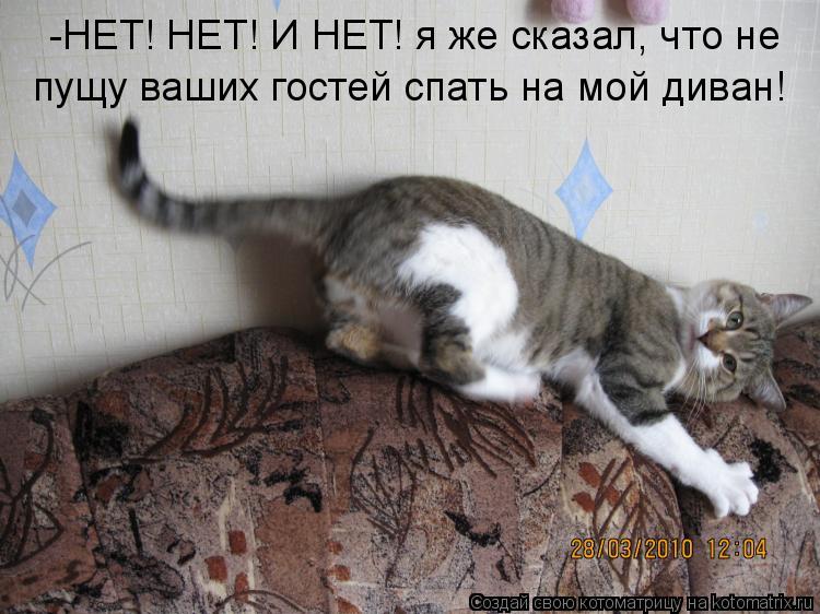 -НЕТ! НЕТ! И НЕТ! я же сказал, что не пущу ваших гостей спать на мой диван!... Котоматрица: -НЕТ! НЕТ! И НЕТ! я же сказал, что не пущу ваших гостей спать на мой диван!