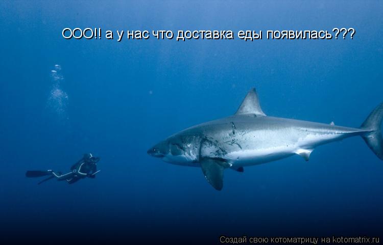 ООО!! а у нас что доставка еды появилась???... Котоматрица: ООО!! а у нас что доставка еды появилась???
