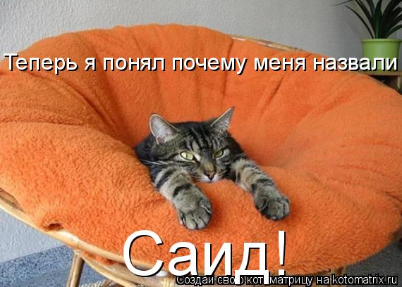 Теперь я понял почему меня назвали Саид!... Котоматрица: Теперь я понял почему меня назвали Саид!