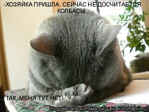-ХОЗЯЙКА ПРИШЛА. СЕЙЧАС НЕ ДОСЧИТАЕТСЯ КОЛБАСЫ... ТАК, МЕНЯ ТУТ НЕТ!... Котоматрица: -ХОЗЯЙКА ПРИШЛА. СЕЙЧАС НЕ ДОСЧИТАЕТСЯ КОЛБАСЫ... ТАК, МЕНЯ ТУТ НЕТ!