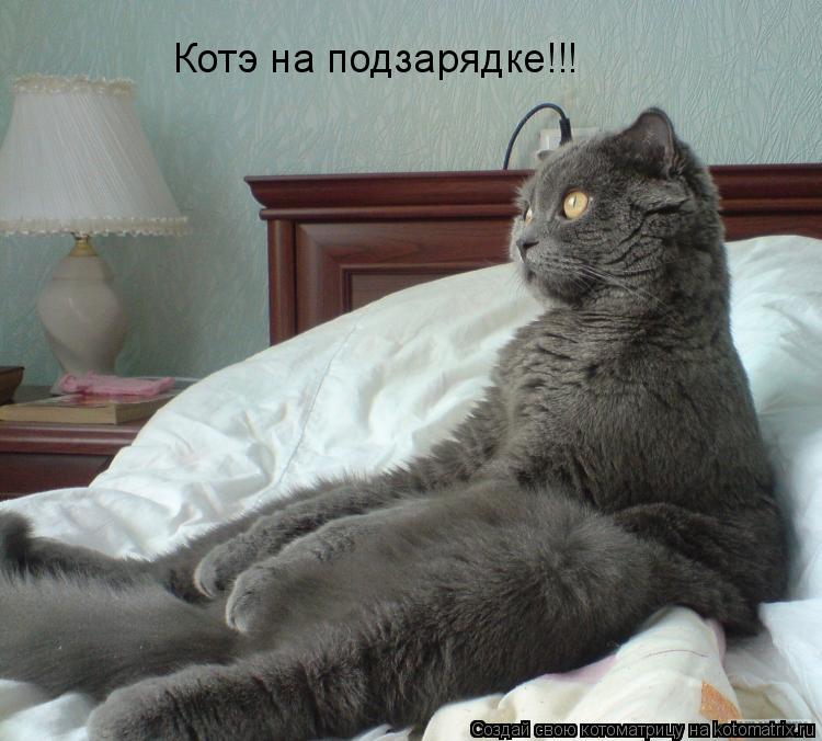 Котэ на подзарядке!!!... Котоматрица: Котэ на подзарядке!!!
