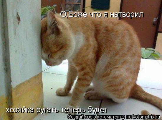 О,Боже что я натворил хозяйка ругать теперь будет... Котоматрица: О,Боже что я натворил хозяйка ругать теперь будет
