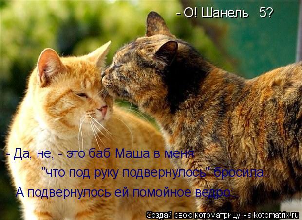 - О! Шанель № 5? "что под руку подвернулось" бросила. А подвернулось ей помойное ведро... - Да, не, -... Котоматрица: - О! Шанель № 5? "что под руку подвернулось" бросила. А подвернулось ей помойное ведро... - Да, не, - это баб Маша в меня