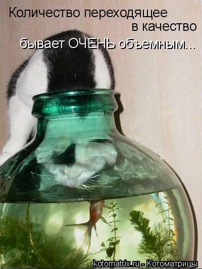 Количество переходящее в качество бывает ОЧЕНЬ объемным...... Котоматрица: Количество переходящее в качество бывает ОЧЕНЬ объемным...