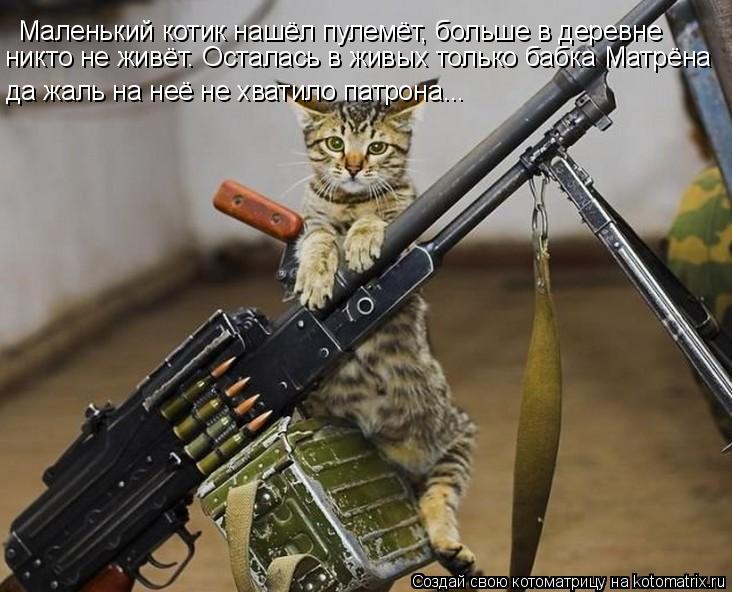 Маленький котик нашёл пулемёт, больше в деревне никто не живёт. Осталась в живых только бабка Матрён... Котоматрица: Маленький котик нашёл пулемёт, больше в деревне никто не живёт. Осталась в живых только бабка Матрёна да жаль на неё не хватило патрона...