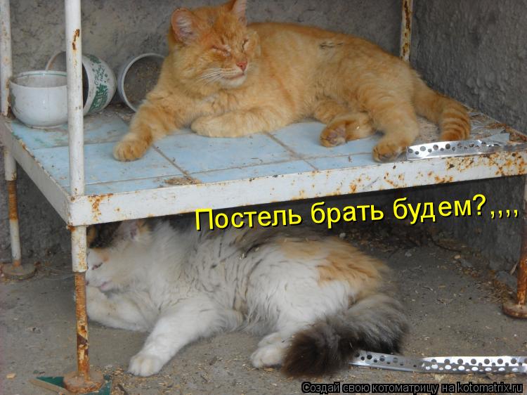 Постель брать будем?,,,,... Котоматрица: Постель брать будем?,,,,