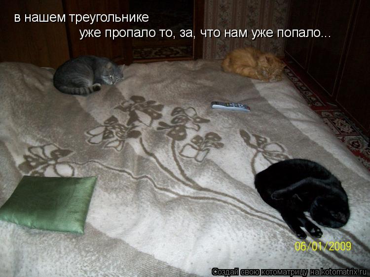 в нашем треугольнике уже пропало то, за, что нам уже попало...... Котоматрица: в нашем треугольнике уже пропало то, за, что нам уже попало...